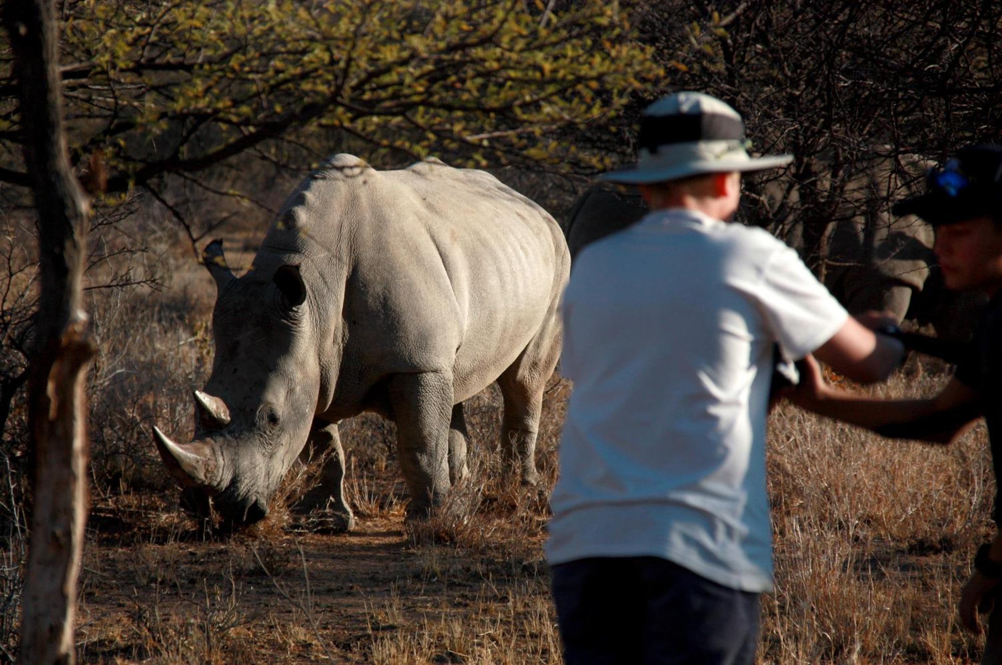 Waterberg Wilderness - One Namibia Villa Oda fotoğraf