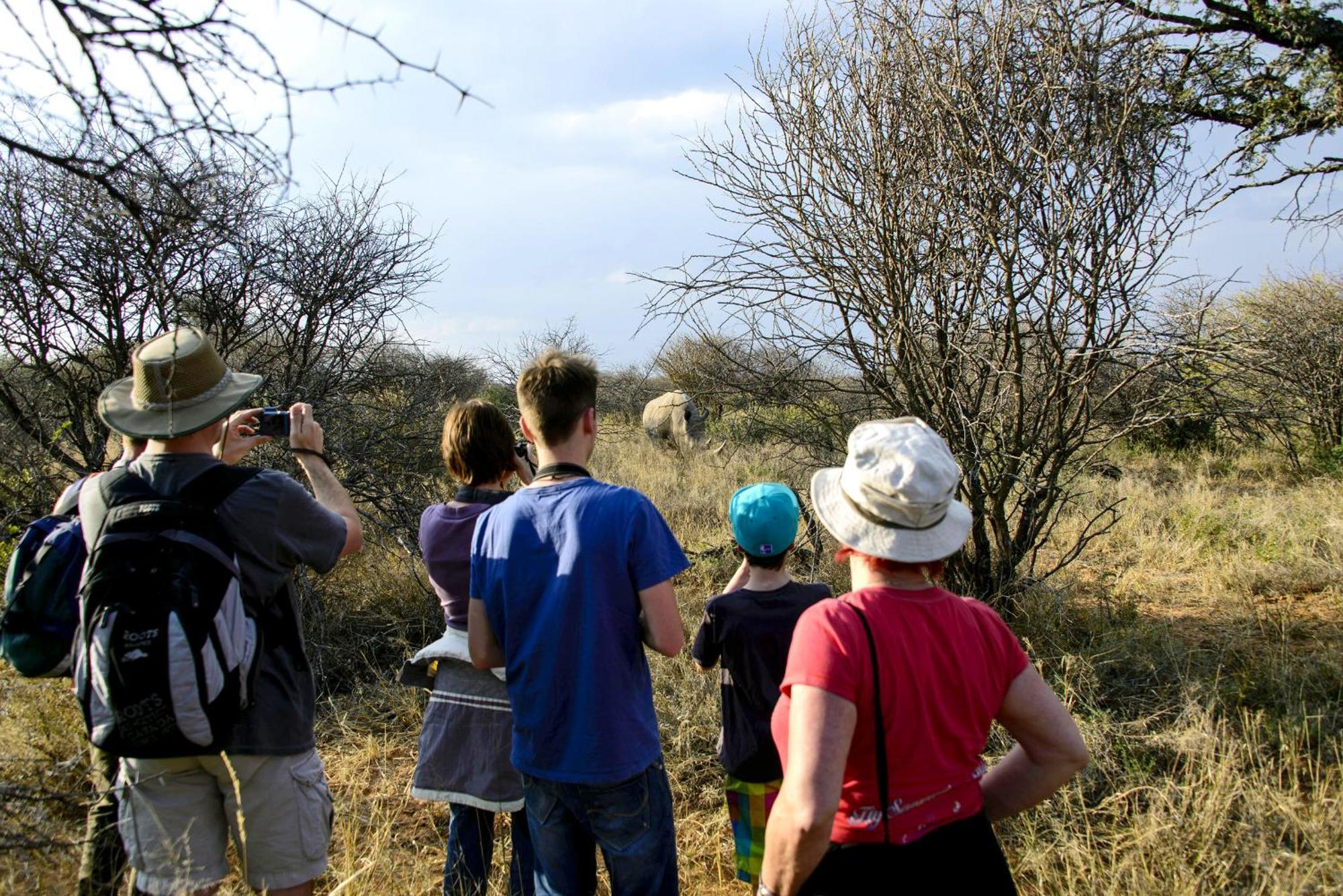 Waterberg Wilderness - One Namibia Villa Oda fotoğraf