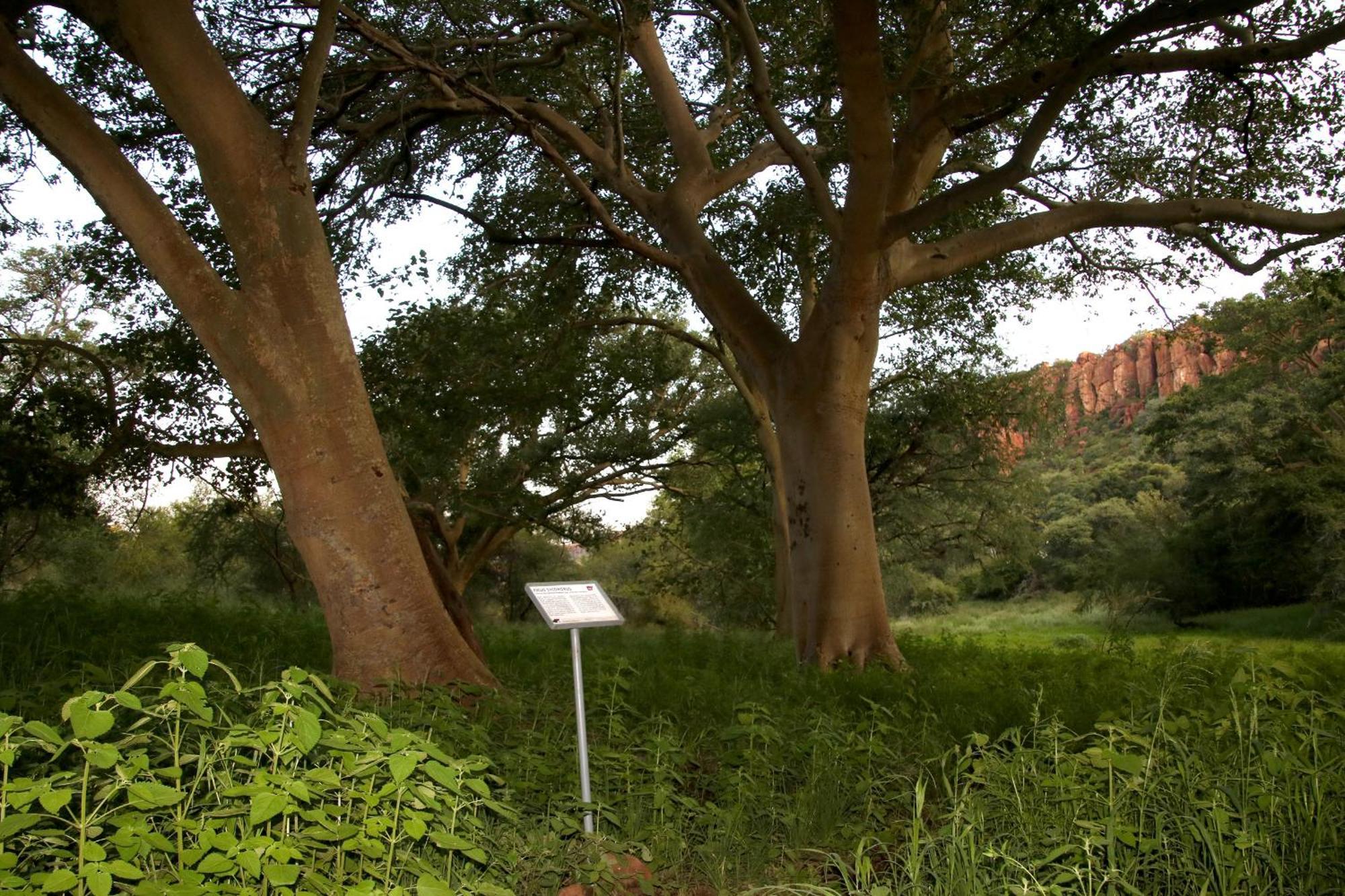 Waterberg Wilderness - One Namibia Villa Dış mekan fotoğraf