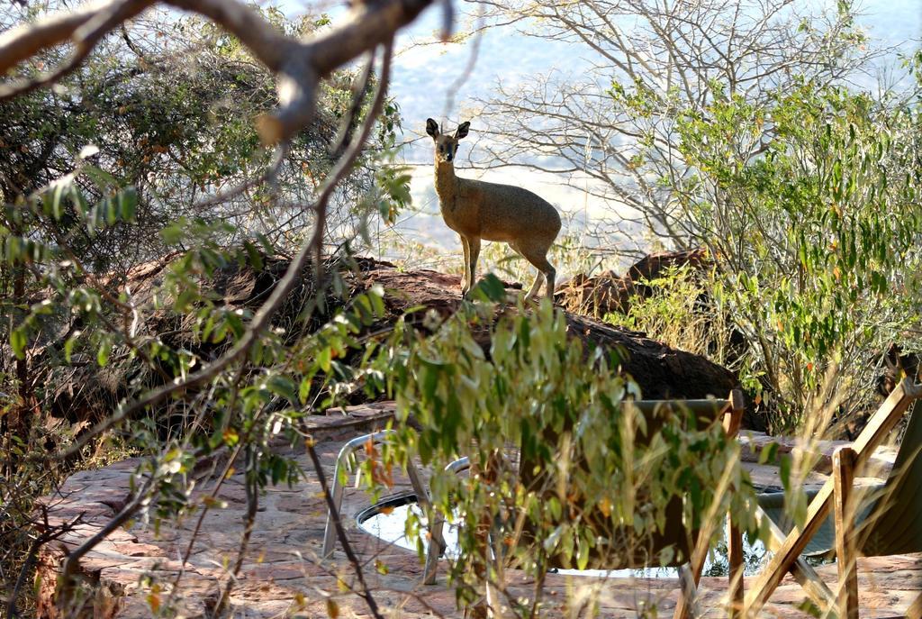 Waterberg Wilderness - One Namibia Villa Dış mekan fotoğraf