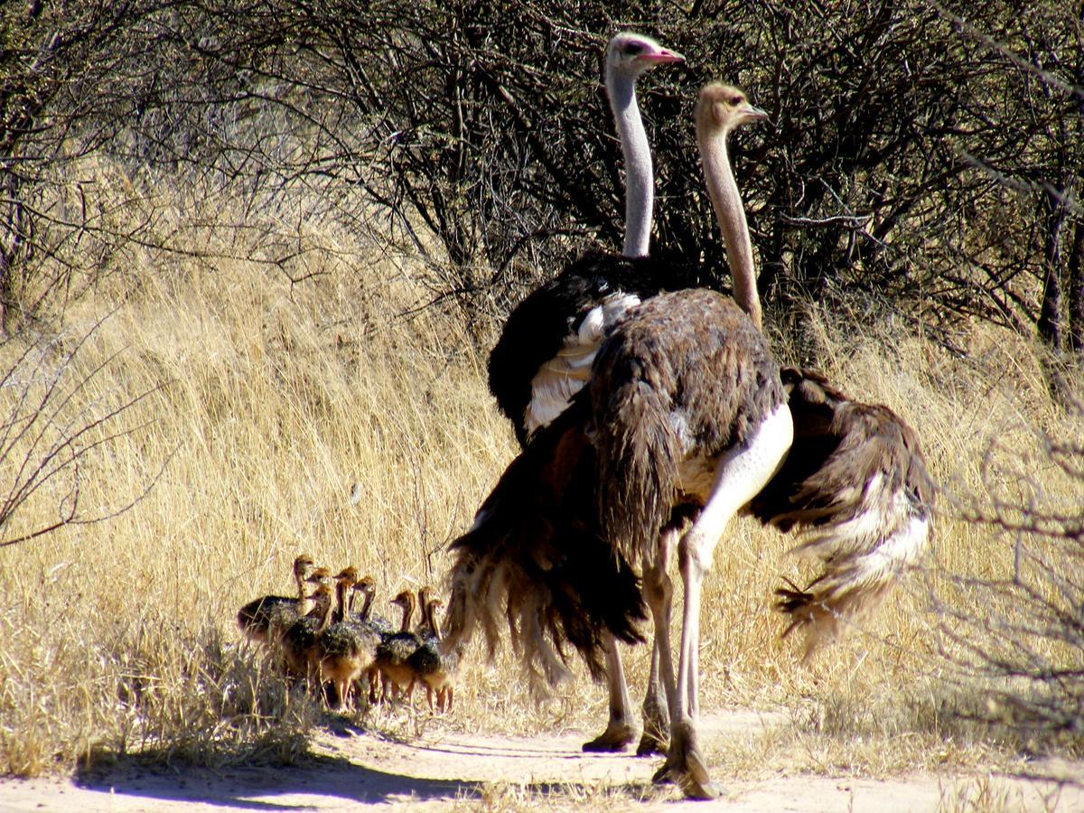 Waterberg Wilderness - One Namibia Villa Dış mekan fotoğraf