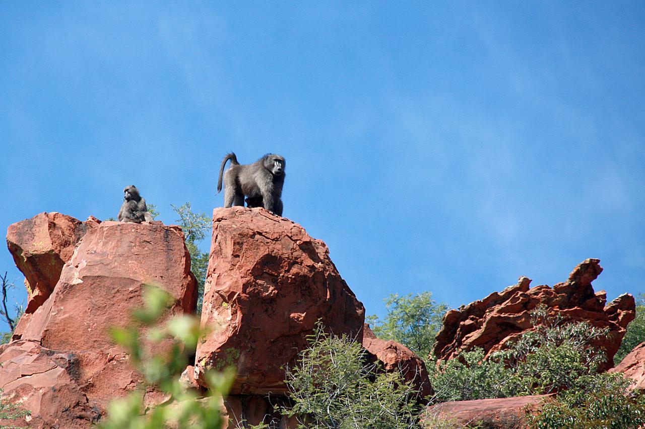 Waterberg Wilderness - One Namibia Villa Dış mekan fotoğraf